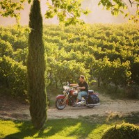 Russell Crowe dans les vignes (A Good Year)