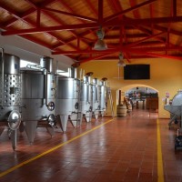 wine-664818_640